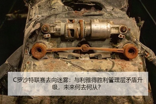 luo-sha-te-lian-sai-qu-xiang-mi-wu-yu-li-ya-de-sheng-li-guan-li-ceng-mao-dun-sheng-ji-wei-lai-he-qu-he-cong-2-160.jpg