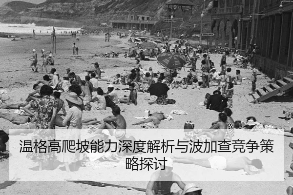 wen-ge-gao-pa-po-neng-li-shen-du-jie-xi-yu-bo-jia-cha-jing-zheng-ce-lve-tan-tao-2-953.jpg