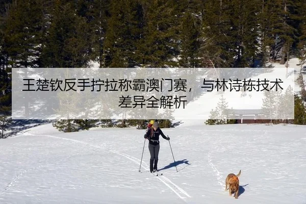 wang-chu-qin-fan-shou-ning-la-cheng-ba-ao-men-sai-yu-lin-shi-dong-ji-shu-cha-yi-quan-jie-xi-2-477.jpg