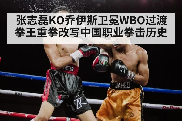 张志磊KO乔伊斯卫冕WBO过渡拳王重拳改写中国职业拳击历史